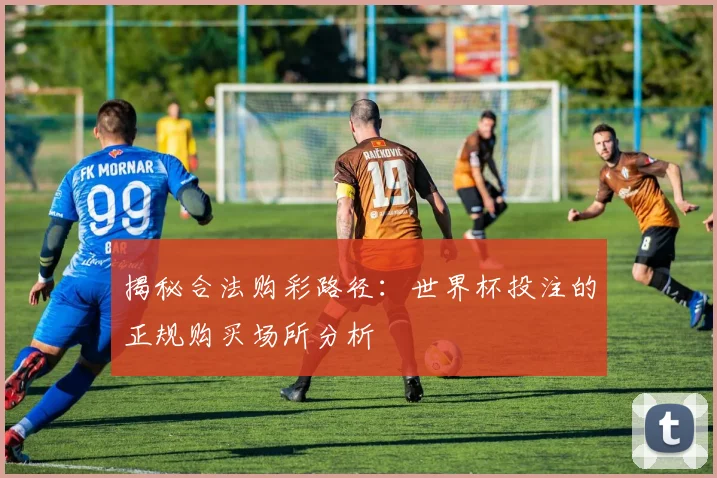 揭秘合法购彩路径：世界杯投注的正规购买场所分析