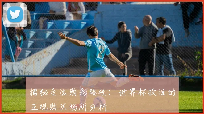 揭秘合法购彩路径：世界杯投注的正规购买场所分析