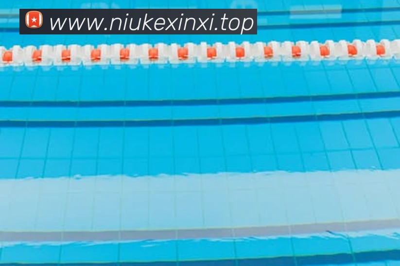 完美体育首页官网平台生态图